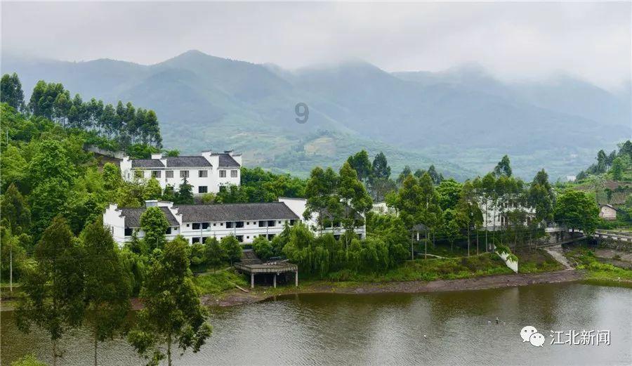厉害了我的巧虎6